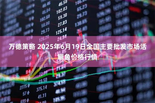 万德策略 2025年6月19日全国主要批发市场活鳜鱼价格行情