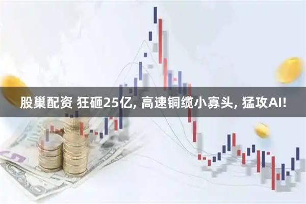 股巢配资 狂砸25亿, 高速铜缆小寡头, 猛攻AI!
