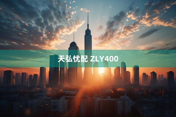 天弘忧配 ZLY400