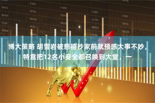 博大策略 胡雪岩被慈禧抄家前就预感大事不妙，特意把12名小妾全都召唤到大堂，一